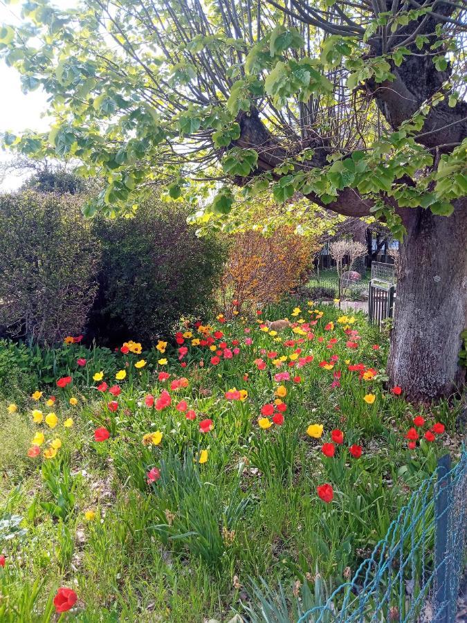 Rosalie Cottage Beaurepaire  外观 照片