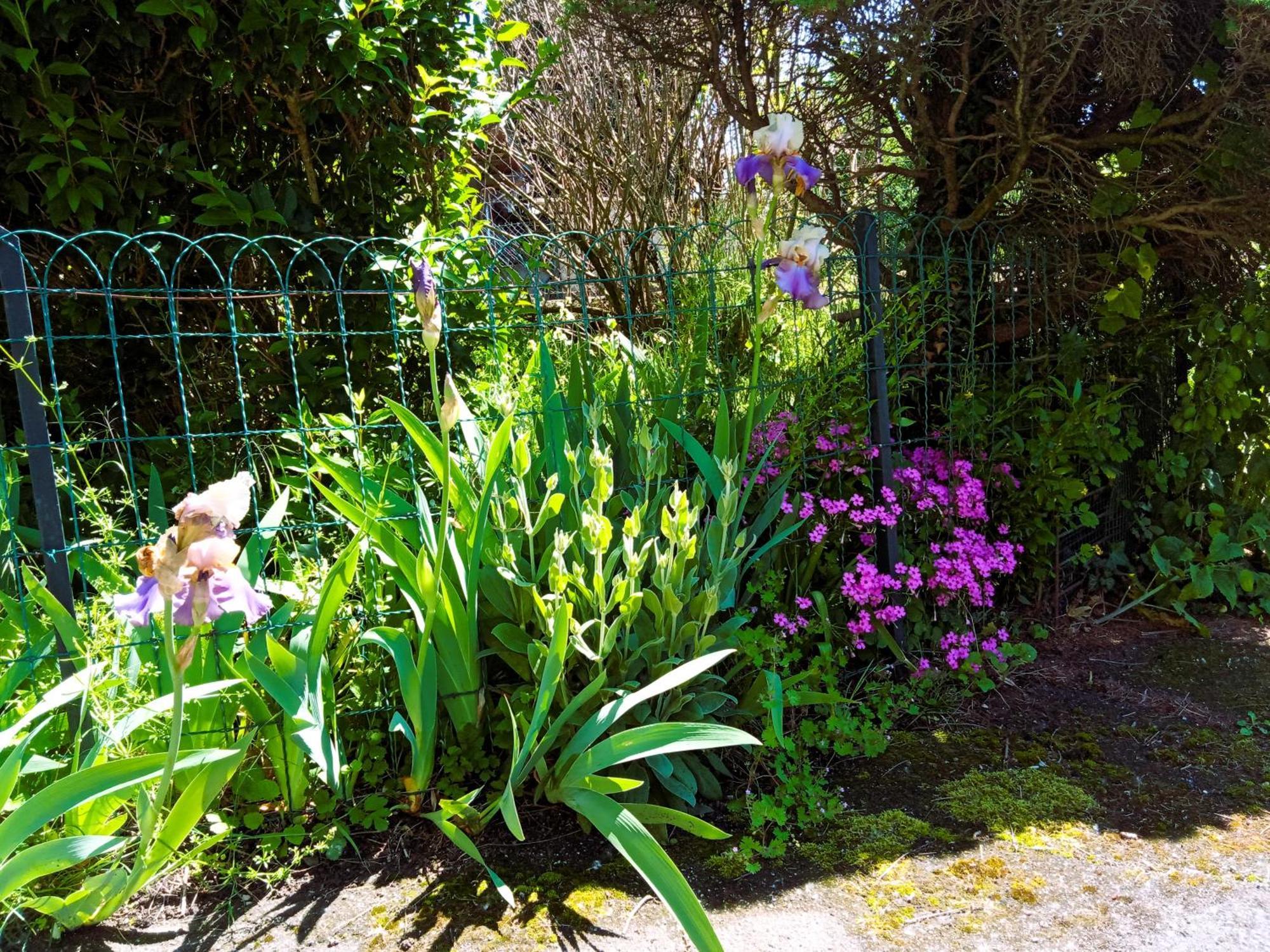 Rosalie Cottage Beaurepaire  外观 照片